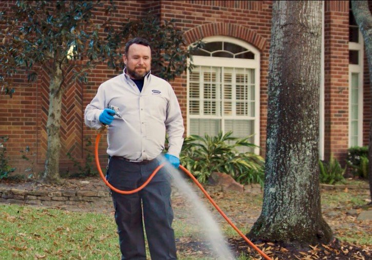 Modern Pest Control