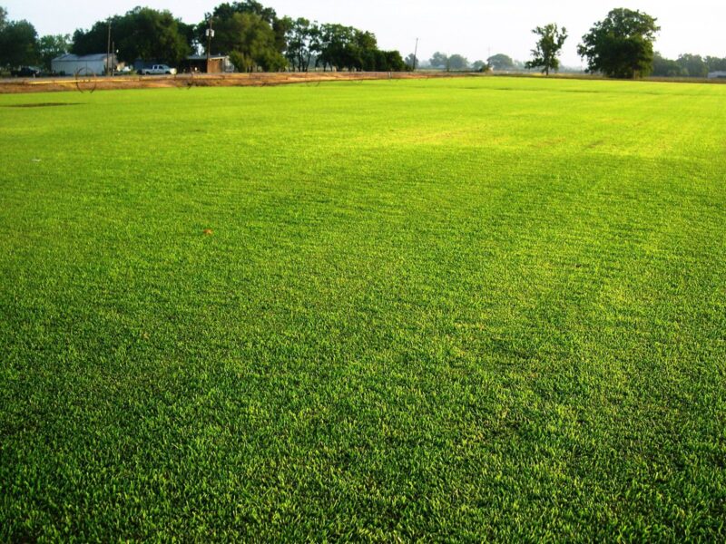 GreenKeeper