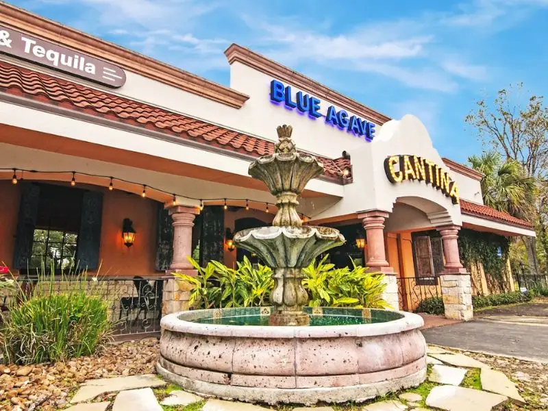 Blue Agave Cantina