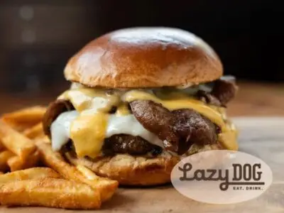 Lazy Dog - Richmond