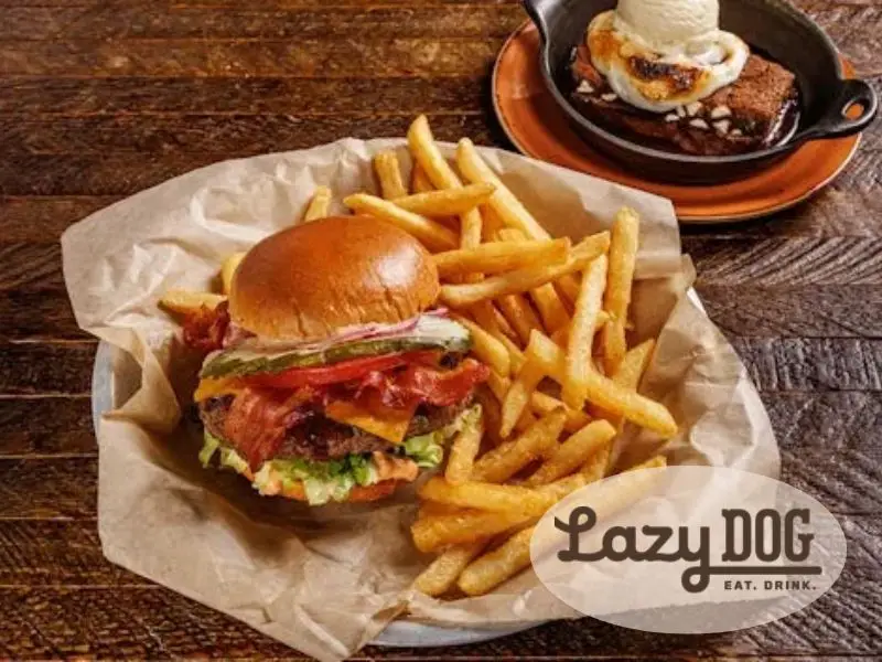 Lazy Dog - Stafford
